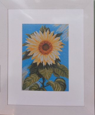 Izšūšanas komplekts,veikalos PlussAudums,Matīsa21Rīgā Izšūšanas komplekts,veikalos PlussAudums,Matīsa 21,Rīgā